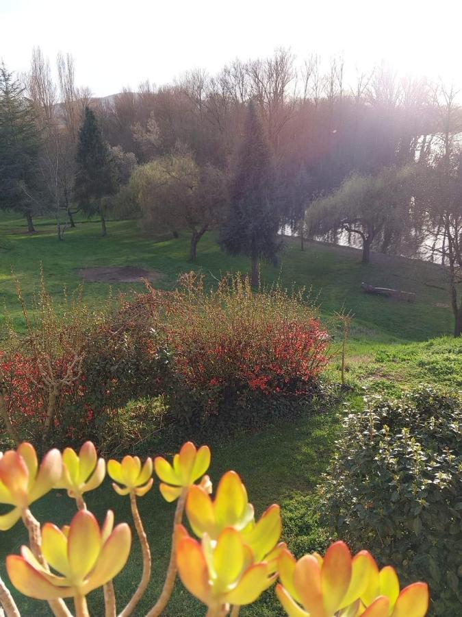 Vakantiehuis Beautiful Next To Garonne River!