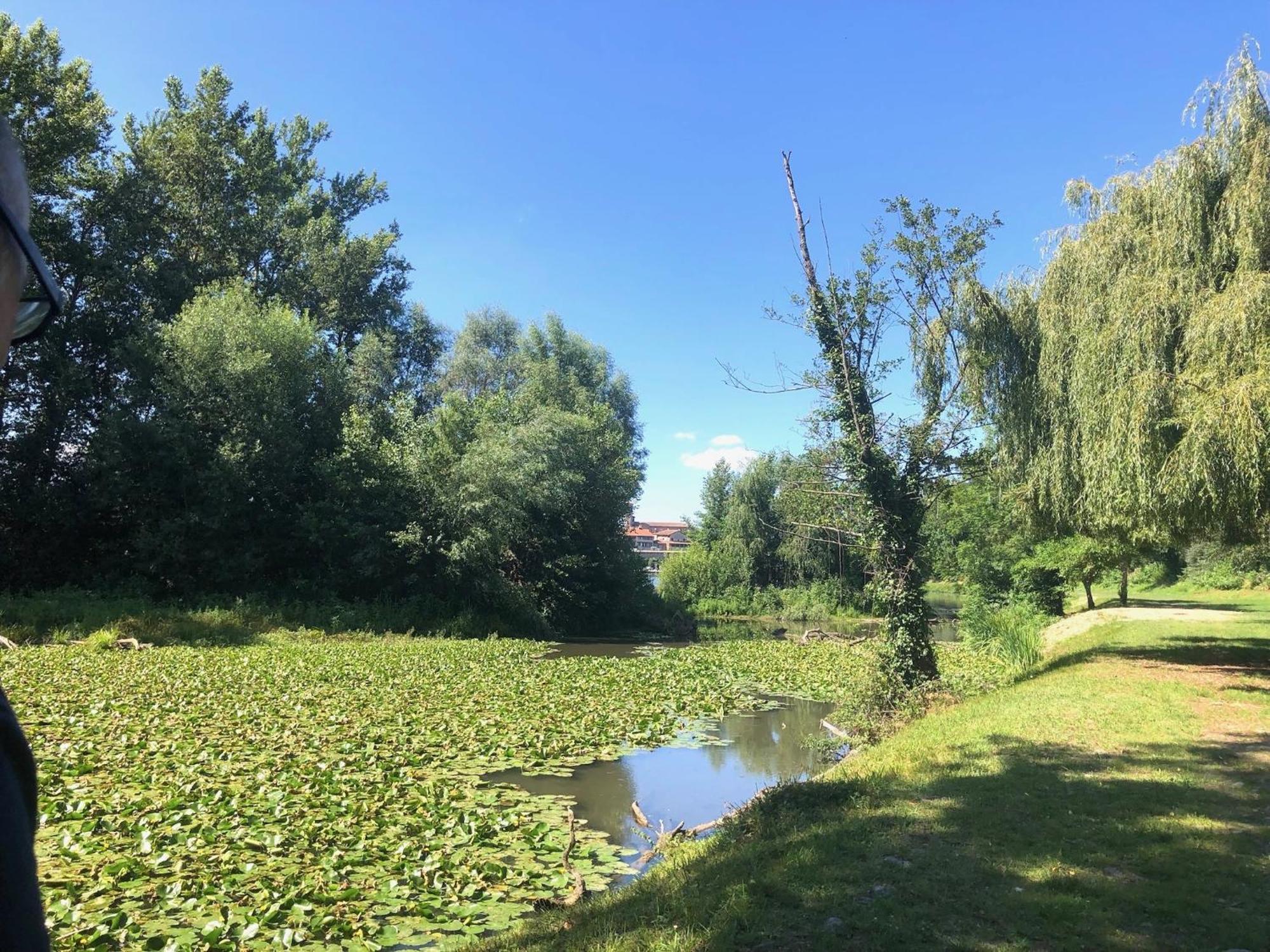 Beautiful Next To Garonne River! *